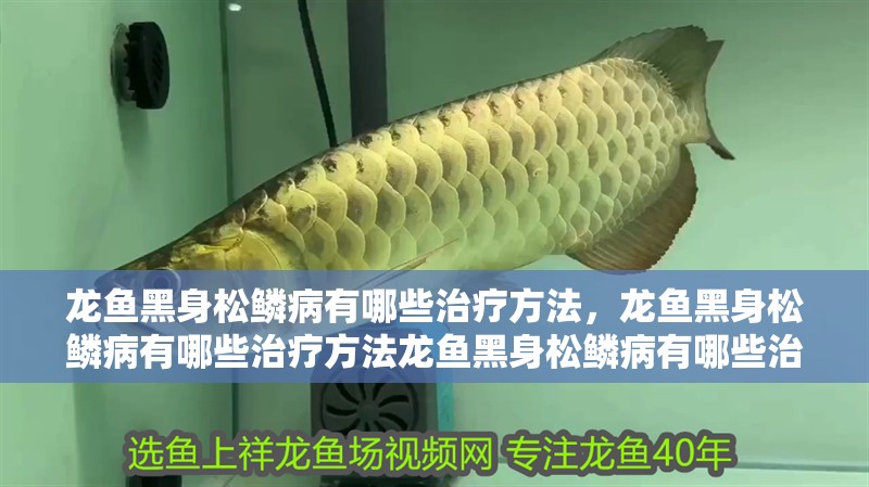 龍魚黑身松鱗病有哪些治療方法，龍魚黑身松鱗病有哪些治療方法龍魚黑身松鱗病有哪些治療方法 龍魚黑身松鱗病有哪些治療方法，龍魚黑身松鱗病有哪些治療方法龍魚黑身松鱗病有哪些治療方法 龍魚百科
