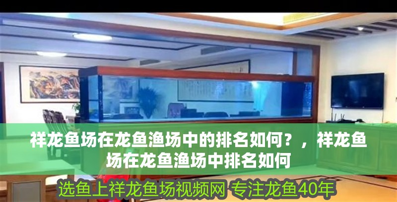 祥龍魚場在龍魚漁場中的排名如何？，祥龍魚場在龍魚漁場中排名如何