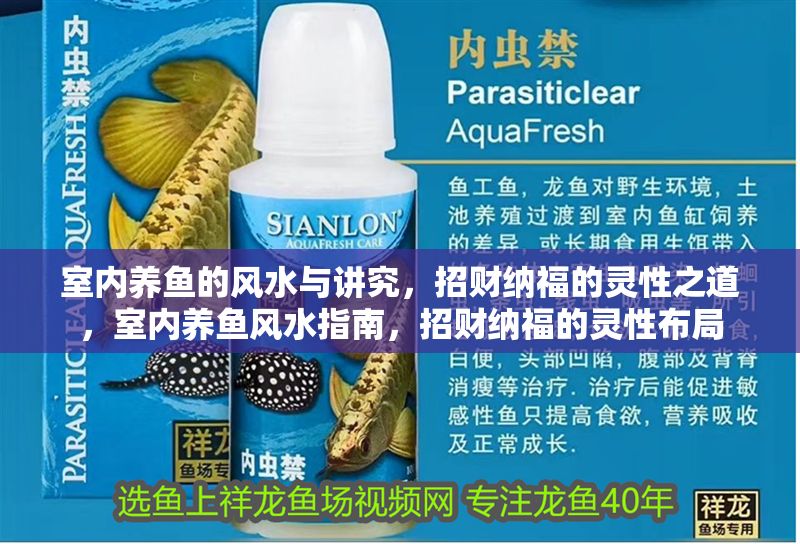 室內養魚的風水與講究，招財納福的靈性之道，室內養魚風水指南，招財納福的靈性布局