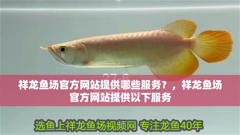 祥龍魚場官方網(wǎng)站提供哪些服務(wù)？，祥龍魚場官方網(wǎng)站提供以下服務(wù)