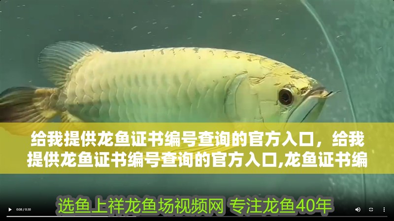 給我提供龍魚證書編號查詢的官方入口，給我提供龍魚證書編號查詢的官方入口,龍魚證書編號查詢官方入口 給我提供龍魚證書編號查詢的官方入口，給我提供龍魚證書編號查詢的官方入口,龍魚證書編號查詢官方入口 龍魚百科