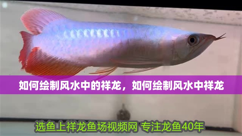 詳細閱讀:龍魚眼睛起白霧要警惕 龍魚眼睛起白霧要警惕
