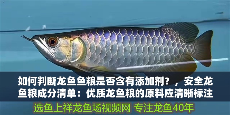 如何判斷龍魚(yú)魚(yú)糧是否含有添加劑？，安全龍魚(yú)糧成分清單：優(yōu)質(zhì)龍魚(yú)糧的原料應(yīng)清晰標(biāo)注