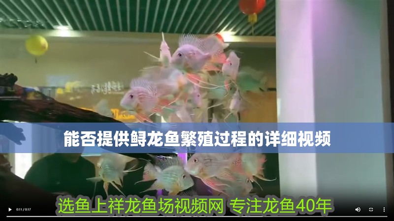 能否提供鱘龍魚繁殖過程的詳細視頻 能否提供鱘龍魚繁殖過程的詳細視頻 龍魚百科