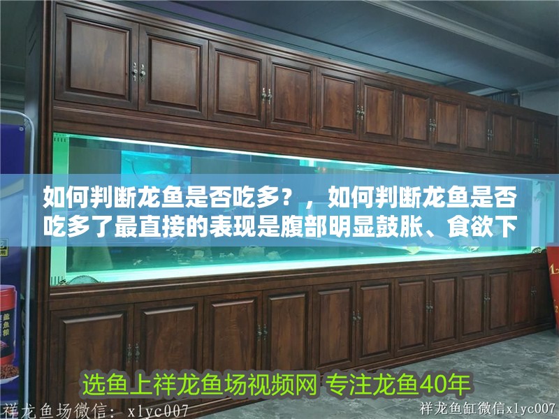 如何判斷龍魚是否吃多？，如何判斷龍魚是否吃多了最直接的表現是腹部明顯鼓脹、食欲下降