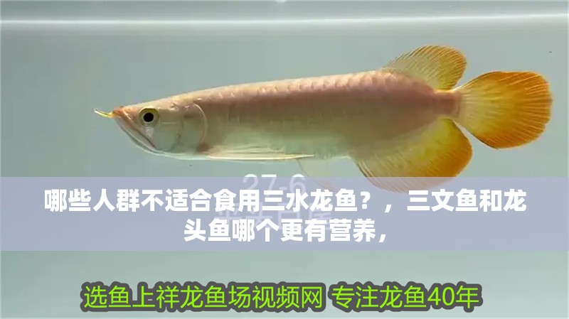 虎魚天天黑來點赤瞳黃金 哪些人群不適合食用三水龍魚?,三文魚和龍頭魚哪個更有營養(yǎng), 龍魚百科 哪些人群不適合食用三水龍魚?,三文魚和龍頭魚哪個更有營養(yǎng), 哪些人群不適合食用三水龍魚?,三文魚和龍頭魚哪個更有營養(yǎng), 龍魚百科