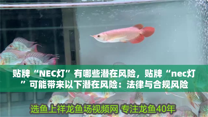 貼牌“NEC燈”有哪些潛在風險，貼牌“nec燈”可能帶來以下潛在風險：法律與合規風險
