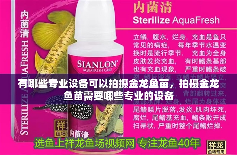 有哪些專業設備可以拍攝金龍魚苗，拍攝金龍魚苗需要哪些專業的設備 有哪些專業設備可以拍攝金龍魚苗，拍攝金龍魚苗需要哪些專業的設備 龍魚百科
