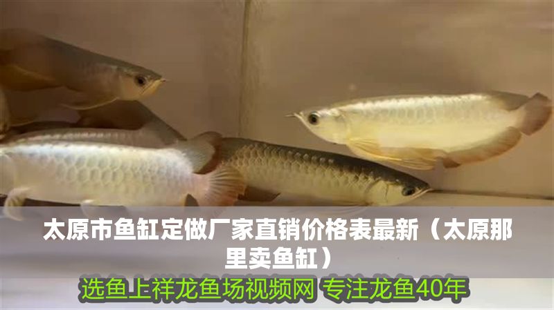 太原市魚缸定做廠家直銷價格表最新（太原那里賣魚缸）