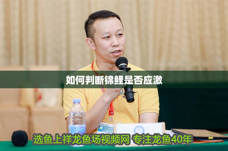 如何判斷錦鯉是否應激