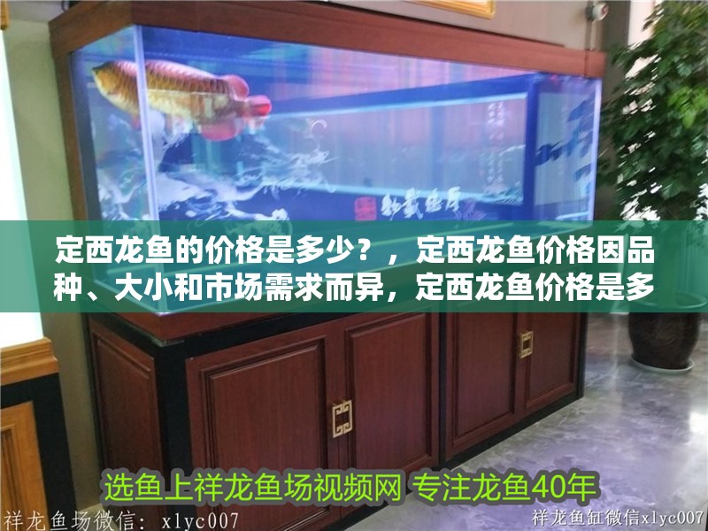 定西龍魚的價(jià)格是多少？，定西龍魚價(jià)格因品種、大小和市場(chǎng)需求而異，定西龍魚價(jià)格是多少