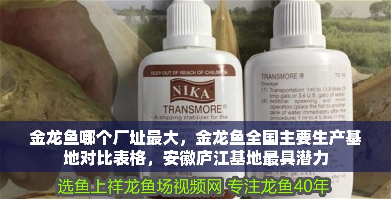 紅龍魚用黃燈烤有用嗎 金龍魚哪個廠址最大,金龍魚全國主要生產基地對比表格,安徽廬江基地最具潛力 龍魚百科 金龍魚哪個廠址最大,金龍魚全國主要生產基地對比表格,安徽廬江基地最具潛力 金龍魚哪個廠址最大,金龍魚全國主要生產基地對比表格,安徽廬江基地最具潛力 龍魚百科