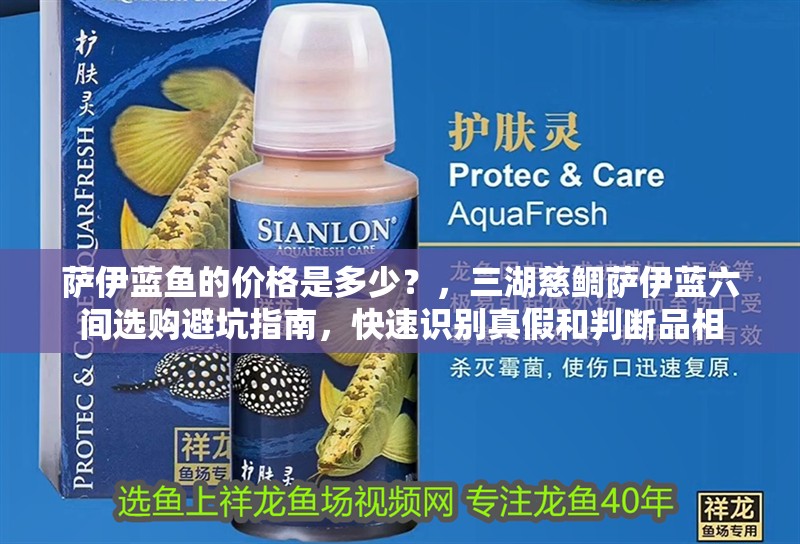 薩伊藍魚的價格是多少？，三湖慈鯛薩伊藍六間選購避坑指南，快速識別真假和判斷品相 薩伊藍魚的價格是多少？，三湖慈鯛薩伊藍六間選購避坑指南，快速識別真假和判斷品相 龍魚百科