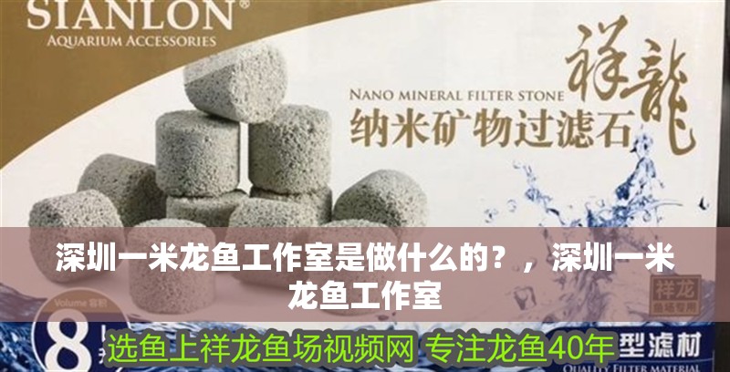 什么魚能和龍魚、虎魚混養(龍魚能和虎魚混養嗎) 深圳一米龍魚工作室是做什么的?,深圳一米龍魚工作室 龍魚百科 深圳一米龍魚工作室是做什么的?,深圳一米龍魚工作室 深圳一米龍魚工作室是做什么的?,深圳一米龍魚工作室 龍魚百科