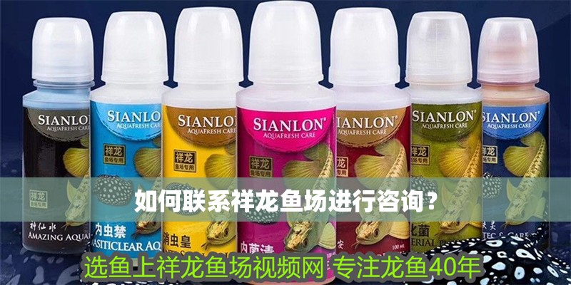 如何聯(lián)系祥龍魚場進(jìn)行咨詢？