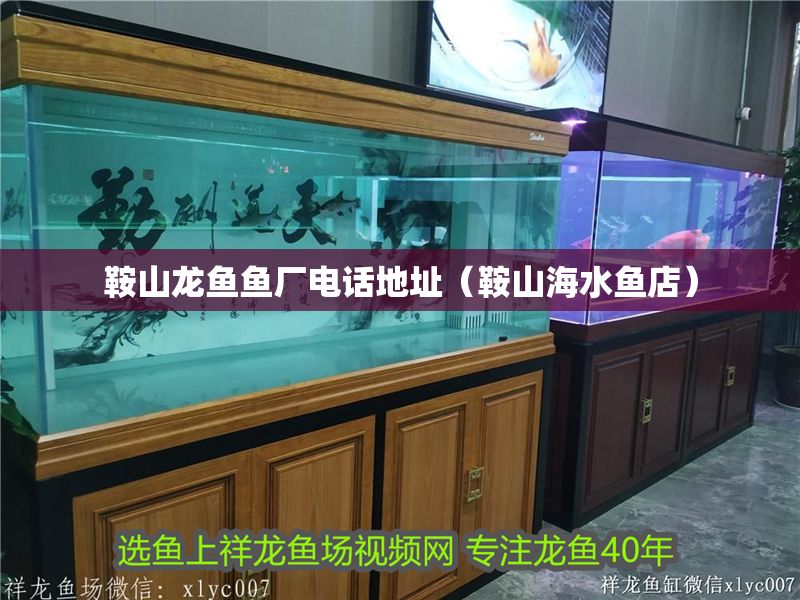鞍山龍魚魚廠電話地址（鞍山海水魚店） 鞍山龍魚魚廠電話地址（鞍山海水魚店） 全國水族館企業名錄 第1張