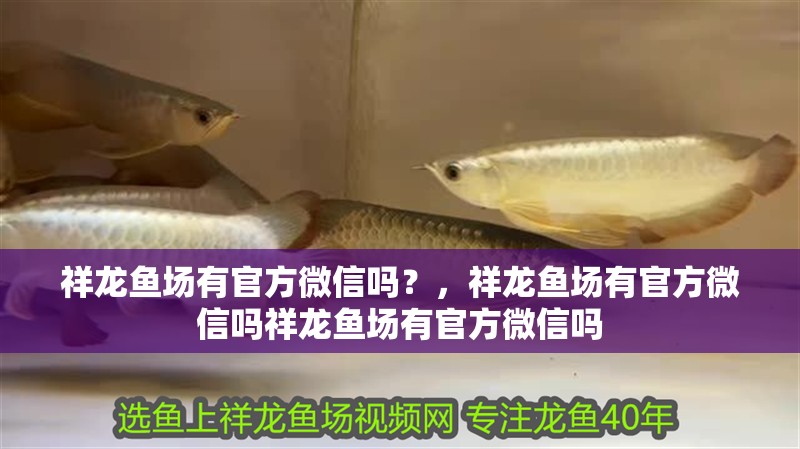 魚缸用增氧泵價格是多少:魚缸增氧機-xtrac增氧機-xtrac增氧機 祥龍魚場有官方微信嗎?,祥龍魚場有官方微信嗎祥龍魚場有官方微信嗎 龍魚百科 祥龍魚場有官方微信嗎?,祥龍魚場有官方微信嗎祥龍魚場有官方微信嗎 祥龍魚場有官方微信嗎?,祥龍魚場有官方微信嗎祥龍魚場有官方微信嗎 龍魚百科