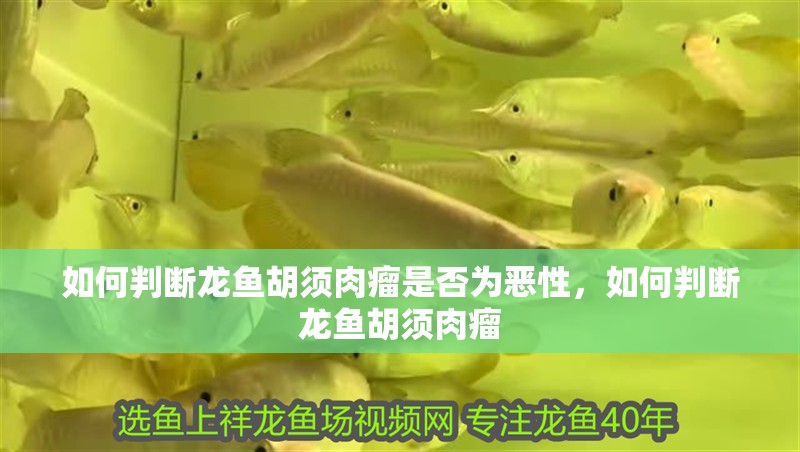 甲硝唑換水后多久可以再次使用