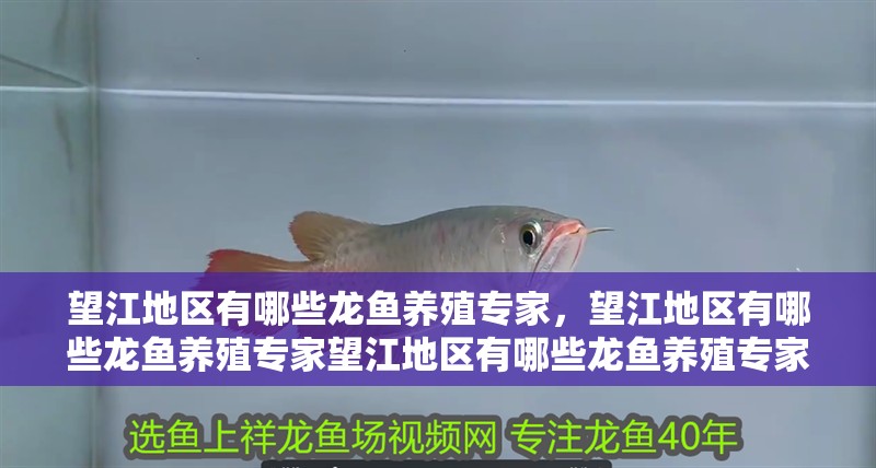 望江地區(qū)有哪些龍魚養(yǎng)殖專家，望江地區(qū)有哪些龍魚養(yǎng)殖專家望江地區(qū)有哪些龍魚養(yǎng)殖專家