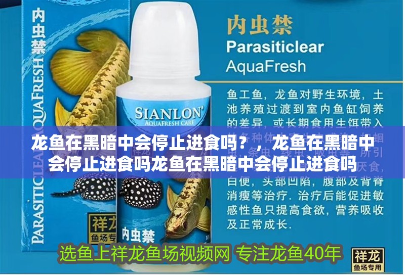 龍魚在黑暗中會停止進食嗎？，龍魚在黑暗中會停止進食嗎龍魚在黑暗中會停止進食嗎