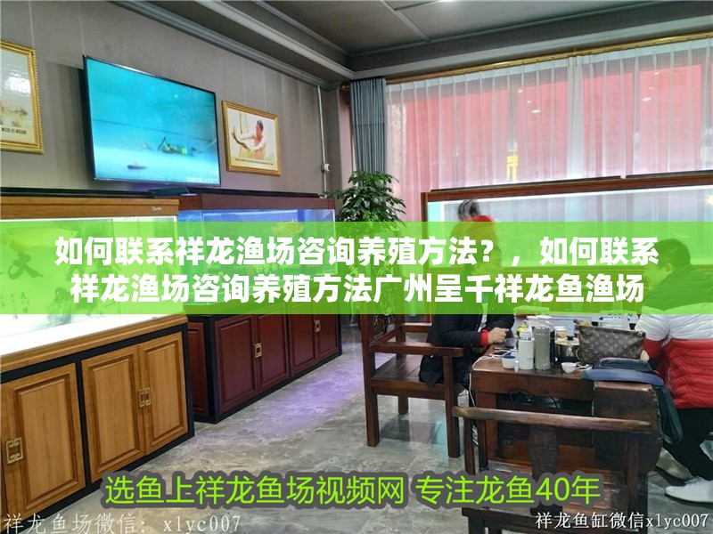 如何聯(lián)系祥龍漁場(chǎng)咨詢養(yǎng)殖方法？，如何聯(lián)系祥龍漁場(chǎng)咨詢養(yǎng)殖方法廣州呈千祥龍魚漁場(chǎng)