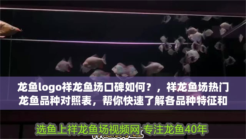 龍魚logo祥龍魚場口碑如何？，祥龍魚場熱門龍魚品種對照表，幫你快速了解各品種特征和價格區間