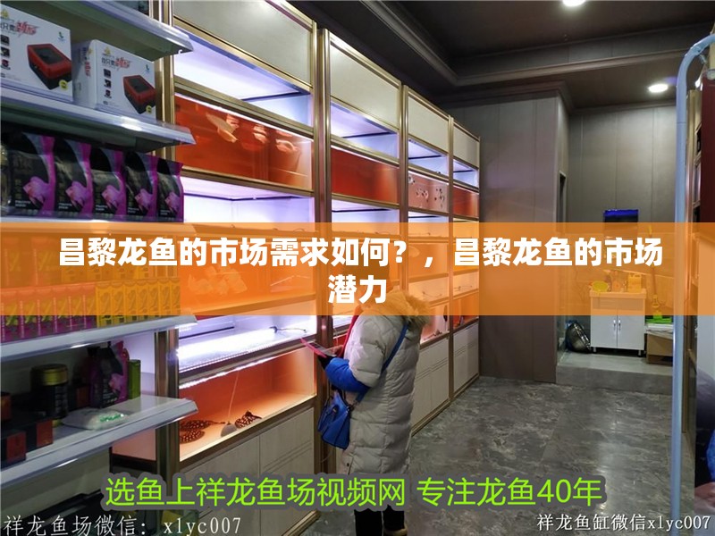 昌黎龍魚的市場需求如何？，昌黎龍魚的市場潛力