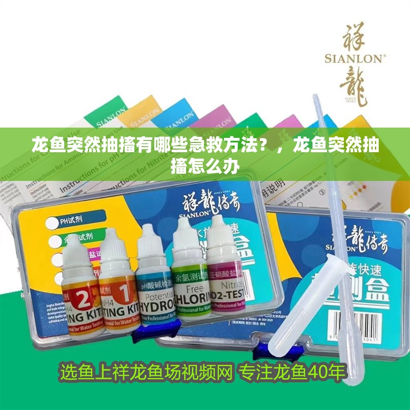 龍魚突然抽搐有哪些急救方法？，龍魚突然抽搐怎么辦