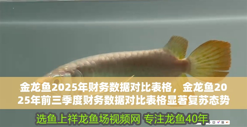 金龍魚2025年財務數據對比表格，金龍魚2025年前三季度財務數據對比表格顯著復蘇態勢