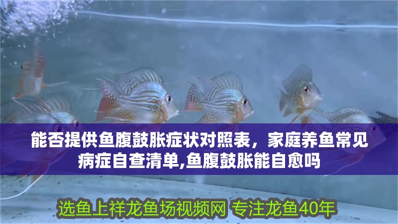 能否提供魚腹鼓脹癥狀對照表，家庭養魚常見病癥自查清單,魚腹鼓脹能自愈嗎