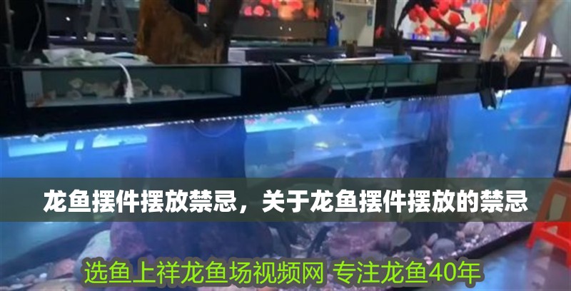 龍魚擺件擺放禁忌，關(guān)于龍魚擺件擺放的禁忌