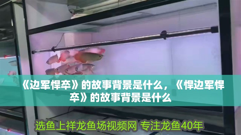 《邊軍悍卒》的故事背景是什么，《悍邊軍悍卒》的故事背景是什么