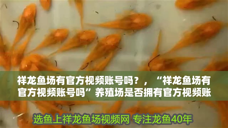 祥龍魚場有官方視頻賬號嗎？，“祥龍魚場有官方視頻賬號嗎”養殖場是否擁有官方視頻賬號