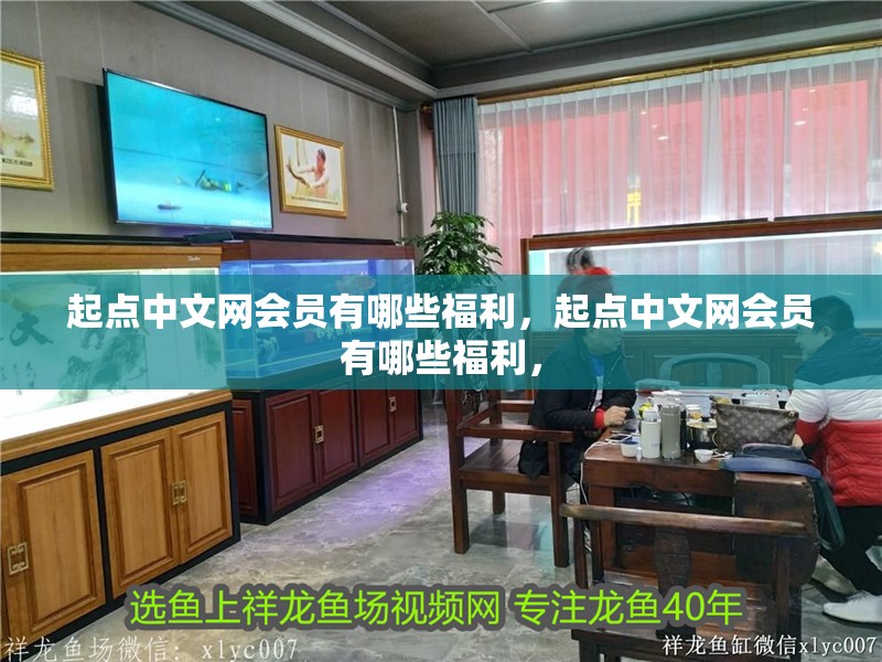 起點中文網會員有哪些福利，起點中文網會員有哪些福利，