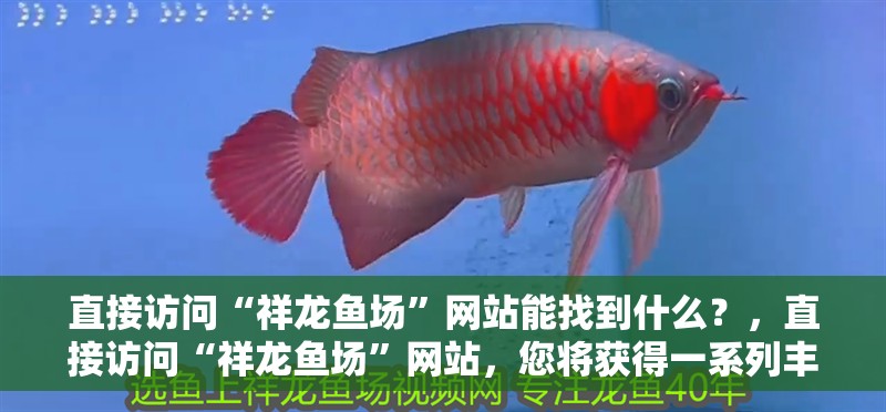直接訪問(wèn)“祥龍魚(yú)場(chǎng)”網(wǎng)站能找到什么？，直接訪問(wèn)“祥龍魚(yú)場(chǎng)”網(wǎng)站，您將獲得一系列豐富的信息和資源