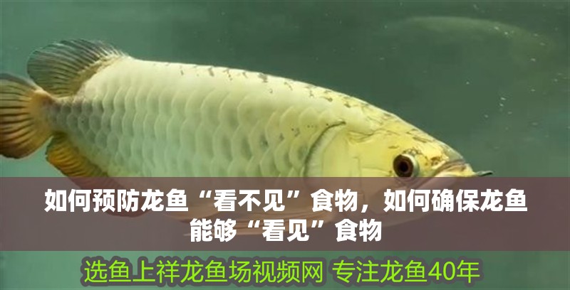 如何預防龍魚“看不見”食物，如何確保龍魚能夠“看見”食物