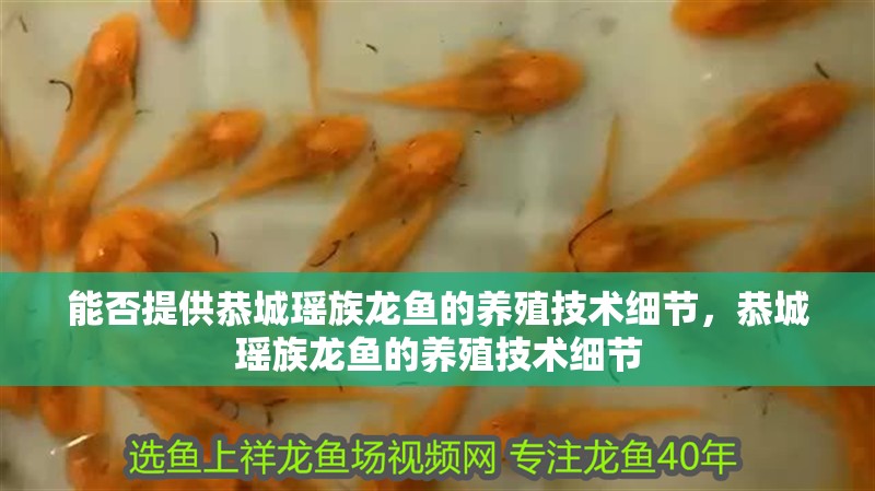 能否提供恭城瑤族龍魚的養(yǎng)殖技術細節(jié)，恭城瑤族龍魚的養(yǎng)殖技術細節(jié)