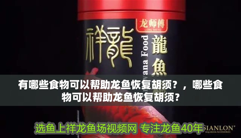 有哪些食物可以幫助龍魚恢復(fù)胡須？，哪些食物可以幫助龍魚恢復(fù)胡須？