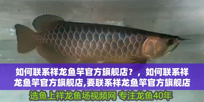 如何聯(lián)系祥龍魚竿官方旗艦店？，如何聯(lián)系祥龍魚竿官方旗艦店,要聯(lián)系祥龍魚竿官方旗艦店
