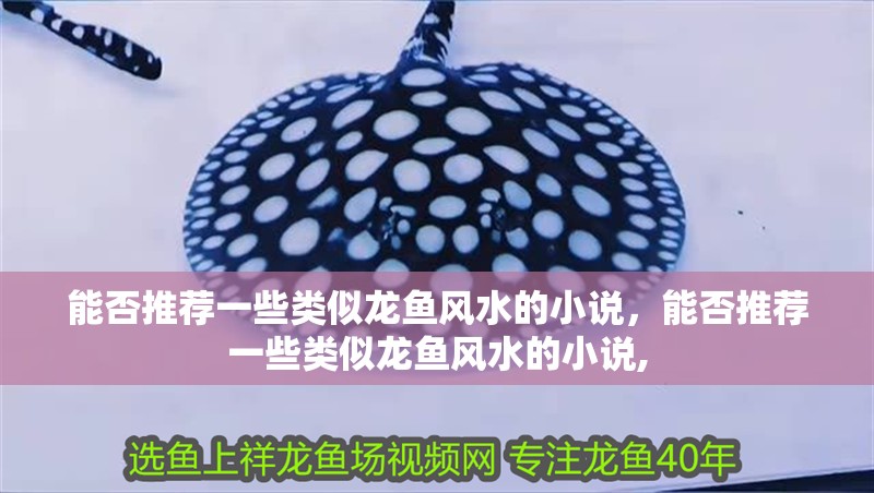 能否推薦一些類似龍魚風(fēng)水的小說，能否推薦一些類似龍魚風(fēng)水的小說,