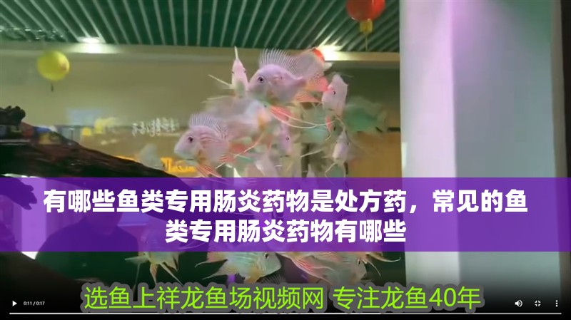 有哪些魚類專用腸炎藥物是處方藥，常見的魚類專用腸炎藥物有哪些