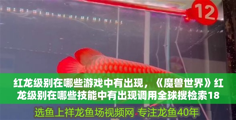 紅龍級(jí)別在哪些游戲中有出現(xiàn)，《魔獸世界》紅龍級(jí)別在哪些技能中有出現(xiàn)調(diào)用全球搜檢索18篇資料