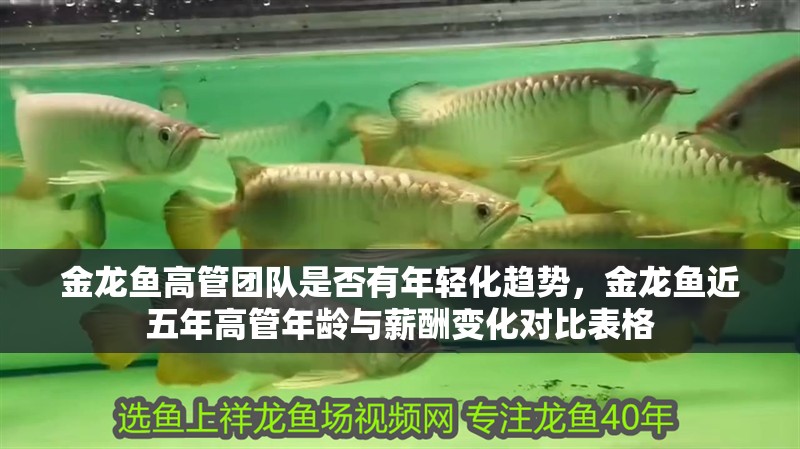 金龍魚高管團(tuán)隊(duì)是否有年輕化趨勢(shì)，金龍魚近五年高管年齡與薪酬變化對(duì)比表格