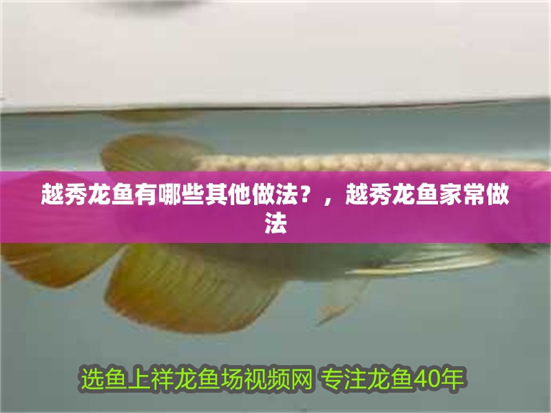 越秀龍魚有哪些其他做法？，越秀龍魚家常做法