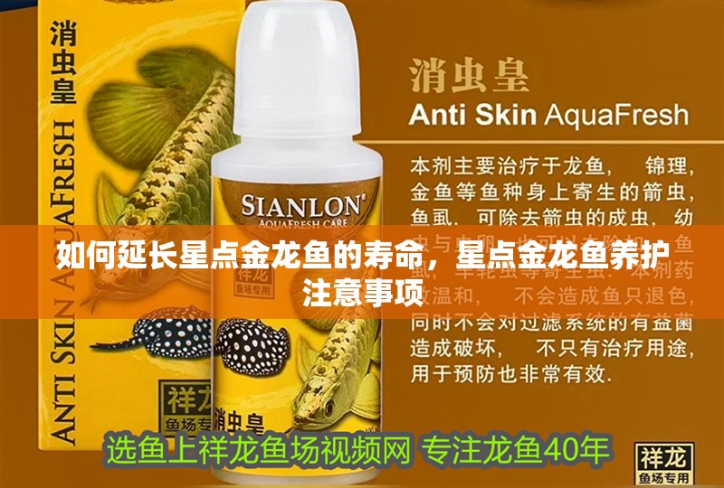 如何延長(zhǎng)星點(diǎn)金龍魚的壽命，星點(diǎn)金龍魚養(yǎng)護(hù)注意事項(xiàng)