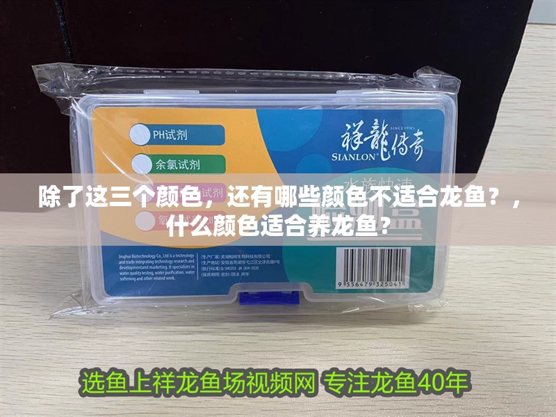 除了這三個顏色，還有哪些顏色不適合龍魚？，什么顏色適合養龍魚？