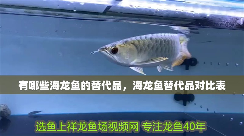 有哪些海龍魚的替代品，海龍魚替代品對比表
