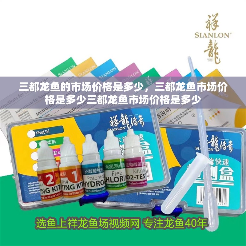 三都龍魚(yú)的市場(chǎng)價(jià)格是多少，三都龍魚(yú)市場(chǎng)價(jià)格是多少三都龍魚(yú)市場(chǎng)價(jià)格是多少