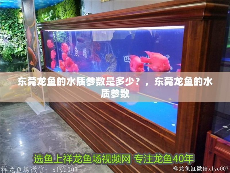 東莞龍魚的水質(zhì)參數(shù)是多少？，東莞龍魚的水質(zhì)參數(shù)