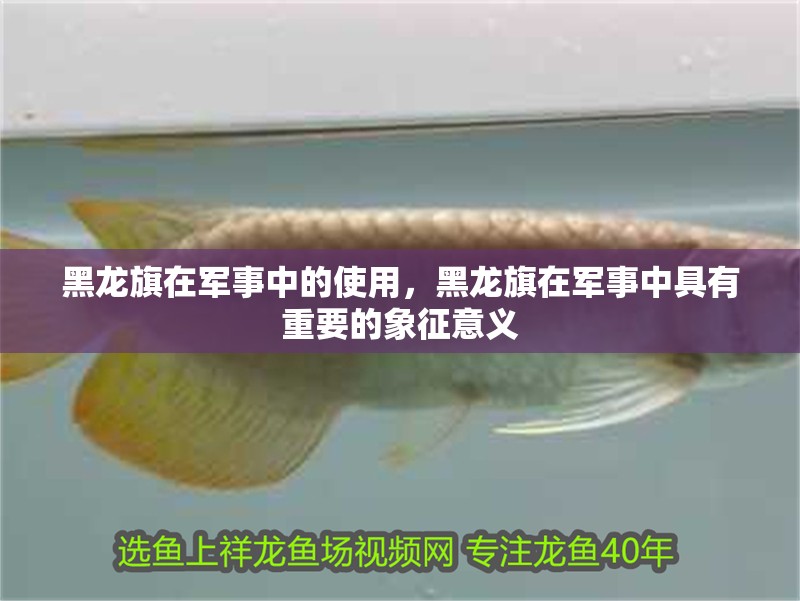 黑龍旗在軍事中的使用，黑龍旗在軍事中具有重要的象征意義